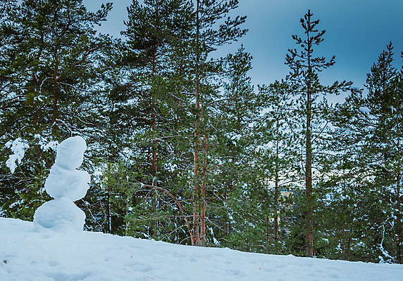 포토 JPG 해외이미지 나무 백인 모자 계절 공원 행복 어린이 백그라운드 크리스마스 겨울 자연 눈사람 놀이 휴가 새로움 미소 사람 풍경 사람없음 야외 장식 빨간색 파란색 냉동 얼음 당근 기쁨 추위 흰색 축하 신용카드 숲 12월 연도 서리 전나무 눈덩이 1월 눈내림 해외202008 해외포토 자연요소 서양인 식물 잡화 공공시설 기념일 감정 컬러 컨셉 뿌리채소 눈_날씨 표정 금융 날짜 생태계 파일형식