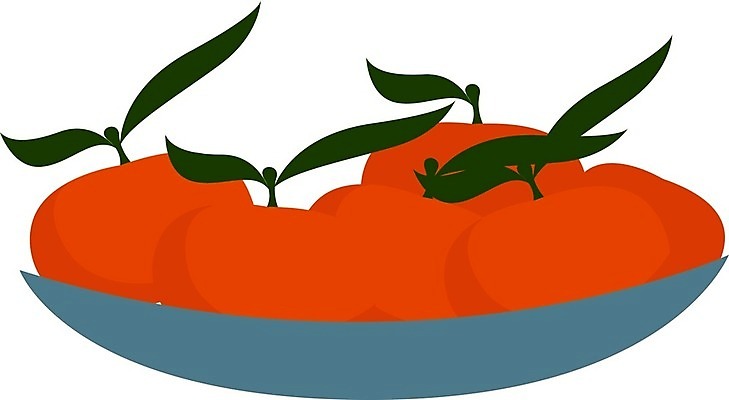 EPS 해외이미지 음식 조각 잎 다이어트 오렌지 과일 일러스트 자연 디저트 귤 건강 여름 세트 신선 수집 상쾌 유기농 비타민 내추럴 고립 숙성 채식주의자 해외202008 깎기 해외일러스트 식물 웰빙 계절 감정 모션 생태계 채식 영양소 파일형식 벡터