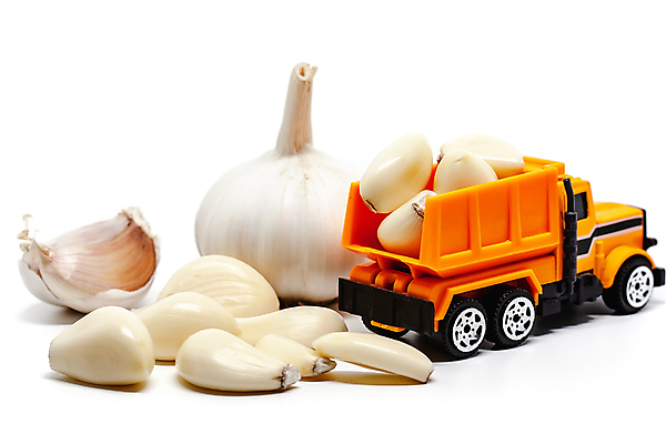 포토 JPG 해외이미지 식물 잡화 음식 백그라운드 농업 채소 재료 전구 교통시설 건강 마늘 요리 사람없음 농작물 장난감 주방 기계 수확 화물 껍질 흰색 신선 양념 조미료 시장 맛 상품 먹기 허브 향신료 무역 유기농 날것 향료 레시피 짐차 무거움 흙더미 물류 숙성 해외202008 해외포토 웰빙 산업 컬러 교통 컨셉 모션 자동차 흙 운송업 무게 시설 향기 냄새 향미료 파일형식 더미