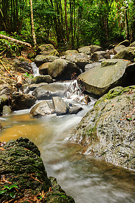 포토 JPG 해외이미지 나무 공원 여행 백그라운드 태국 자연 휴식 산 풍경 사람없음 야외 초록색 물 여름 강 환경 정원 폭포 흐름 가을 바위 신선 개울 숲 시원함 열대우림 내추럴 파라다이스 해외202008 해외포토 자연요소 식물 계절 공공시설 아시아 컬러 컨셉 돌_바위 생태계 파일형식