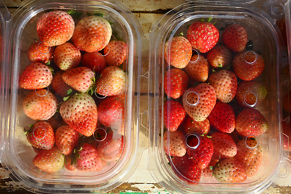 포토 JPG 해외이미지 식물 열매 음식 백그라운드 잎 농업 다이어트 과일 포장 자연 탁자 딸기 디저트 건강 사람없음 야외 목재 빨간색 초록색 상자 컬러풀 농장 세일 신선 투명 그룹 시장 달콤 맛 컨테이너 플라스틱 수집 먹기 오브젝트 유기농 팩 패키지 슈퍼마켓 내추럴 숙성 맛있는 해외202008 해외포토 나무 웰빙 산업 컬러 가구 컨셉 재료 모션 재질 상점 화장품 생태계 파일형식