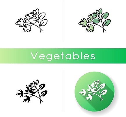 EPS 해외이미지 클립아트 디자인 선 컨셉 채소 일러스트 재료 파슬리 건강 그림자 미술 초록색 세트 새싹 주방 검은색 웹 이탈리아 흰색 고명 양념 조미료 플랫 맛 허브 심볼 향신료 사인 에코 향기 냄새 윤곽 팩 바질 로즈메리 건강식 고립 백리향 상형문자 세이지 얇은 오레가노 활자 해외202008 해외일러스트 식물 문자 유럽 음식 컬러 인터넷 문화예술 환경 화장품 향미료 활자판 파일형식 벡터 나라 뷰티 인쇄판 인쇄