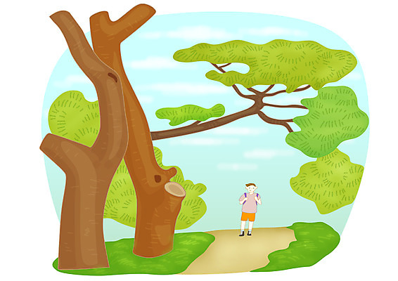 전신 PSD 나무 식물 라이프스타일 남자 길 가방 일러스트 배낭 레저 한명 서기 사람 20대 성인 취미 라이프 여름 레포츠 산책 등산 산책로 숲 매기 여름스포츠 두그루 삼림욕 남자만 남자한명만 성인남자만 청년만 청년남자만 청년남자한명만 성인한명만 성인남자한명만 성인만 국내일러스트 1 잡화 계절 스포츠 2 모션 휴식 청년 생활 트래킹 파일형식 여름_계절