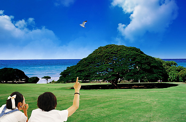 주간 PSD 나무 식물 구름 편집이미지 커플 여자 남자 엎드리기 바다 여행 갈매기 조류 하늘 휴가 사람 손짓 잔디 초원 상반신 야외 두명 가리킴 숲 이미지편집 자연요소 동물 관계 모션 파일형식