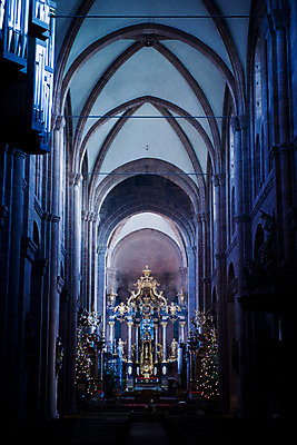 포토 JPG 나무 해외풍경 해외 건축물 건축 유럽 종교 외국문화 해외건축 종교건축 조명 독일 실내 건물 장식 세로 관광지 세계 성당 기둥 천장 고딕양식 로마네스크양식 보름스 보름스대성당 국내포토 식물 나라 문화 여행 풍경 내부 파일형식