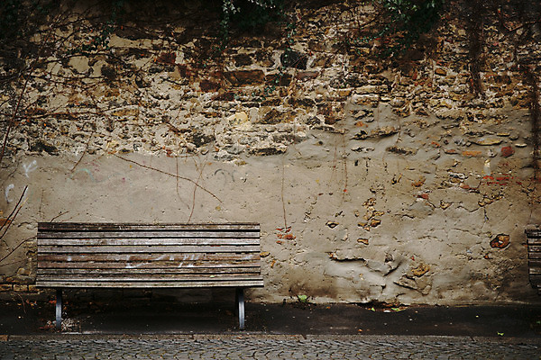 포토 JPG 주간 식물 해외풍경 해외 계절 유럽 벽 줄기 외국문화 벤치 의자 나뭇잎 독일 풍경 사람없음 야외 가로 관광지 담장 세계 가을 도시 마인츠 국내포토 자연요소 나라 문화 여행 가구 잎 파일형식