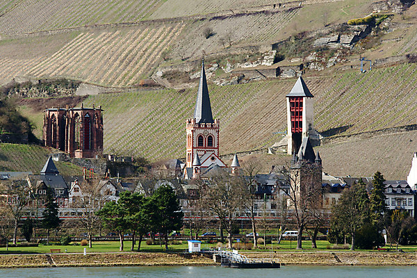 포토 JPG 주간 나무 식물 해외풍경 해외 건축물 건축 유럽 종교 외국문화 해외건축 종교건축 독일 풍경 초원 사람없음 야외 건물 가로 관광지 세계 교회 도시 강가 라인강 국내포토 자연요소 나라 문화 여행 강 파일형식