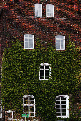 포토 JPG 주간 해외풍경 해외 건축물 건축 유럽 벽 외국문화 창문 주택 독일 사람없음 야외 건물 세로 관광지 세계 담쟁이덩굴 국내포토 자연요소 나라 문화 여행 풍경 덩굴 파일형식