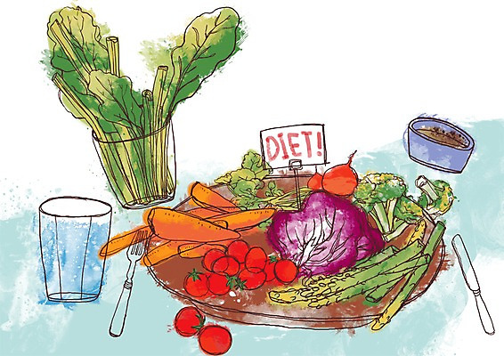 PSD 그릇 웰빙 포크 다이어트 채소 라인일러스트 일러스트 식재료 방울토마토 쟁반 건강 요리 사람없음 컵 당근 샐러드 나이프 브로콜리 물컵 양배추 채식 아스파라거스 샐러리 적채 적환무 국내일러스트 식기 음식 토마토 뿌리채소 칼 무 파일형식