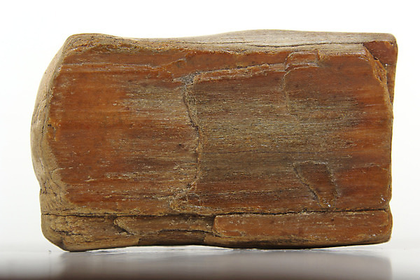 포토 JPG 해외이미지 나무 음식 빵 조각 백그라운드 자연 조개 건강 사람없음 목재 치료 갈색 와인 껍질 흰색 신선 역사 아침식사 샴페인 크리스탈 광석 묘사 오브젝트 흰배경 질감 코르크 덩어리 내추럴 고립 옛날 지질학 해외202008 해외포토 식물 교육 컬러 재료 의학 어패류 주류 식사 생태계 파일형식