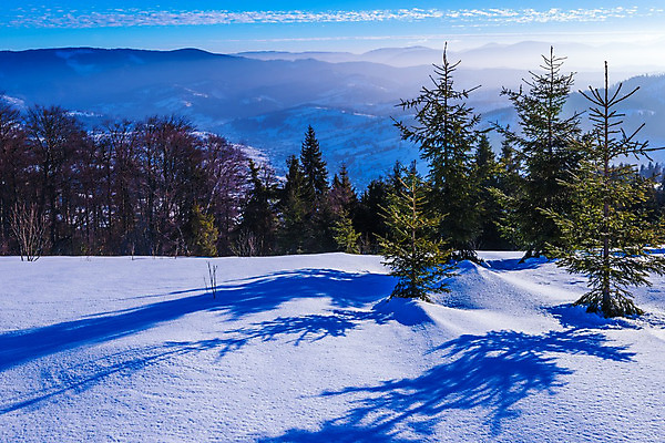 포토 JPG 해외이미지 나무 구름 유럽 여행 겨울 자연 하늘 휴가 스키 산 파노라마 풍경 사람없음 야외 파란색 태양 일출 맑음 냉동 얼음 새벽 트래킹 하이킹 추위 성장 흰색 소나무 숲 언덕 서리 북쪽 슬로프 산악지대 웅장함 절정 폭설 눈내림 가문비나무 해외202008 해외포토 자연요소 식물 계절 나라 컬러 레저 날씨 겨울스포츠 스키장 눈_날씨 촬영기법 노을 자연재해 방향 생태계 파일형식