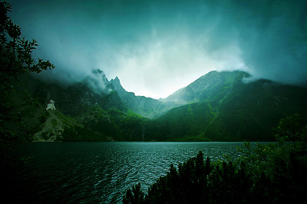 포토 JPG 해외이미지 나무 구름 공원 별 호수 여행 백그라운드 자연 하늘 아침 날씨 산 그림자 풍경 사람없음 야외 환경 계곡 검은색 어둠 새벽 트래킹 행성 안개 가을 바위 연못 소나무 야간 숲 신비 언덕 산등성이 공상 상록수 전나무 내추럴 뿌연 절정 히말라야 해외202008 해외포토 주간 자연요소 식물 계절 공공시설 컬러 컨셉 레저 우주 돌_바위 생태계 파일형식 산맥