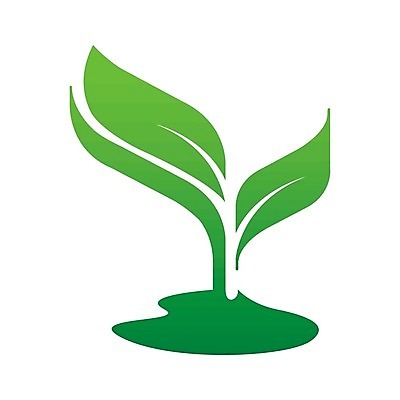 EPS 해외이미지 일러스트 나뭇잎 사람없음 초록색 새싹 에코 해외202008 해외일러스트 식물 컬러 잎 환경 파일형식 벡터