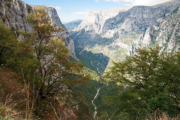 포토 JPG 해외이미지 나무 공원 유럽 여행 자연 산 풍경 경사 사람없음 야외 골짜기 황무지 숲 그리스 지역 그리스인 깊이 울퉁불퉁 해외202008 해외포토 서양인 식물 공공시설 나라 생태계 파일형식