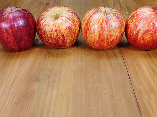 포토 JPG 해외이미지 음식 백그라운드 다이어트 채소 과일 자연 탁자 건강 사람없음 목재 빨간색 초록색 여름 빛 갈색 정원 가을 신선 원형 그룹 달콤 사과 유기농 내추럴 숙성 식초 맛있는 해외202008 해외포토 도형 나무 웰빙 계절 컬러 가구 재료 맛 생태계 파일형식