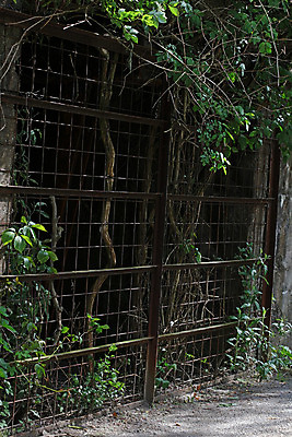 포토 JPG 해외이미지 전신 남자 산업 모래 유니폼 2 농업 건축양식 공장 안전 사람 사람없음 뒷모습 파란색 노란색 탑 금속 기계 장비 업무 제조 컨테이너 버리기 상업 탱크 시멘트 수납 무거움 발판 고용 실린더 옛날 철강 콘크리트 해외202008 해외포토 건축물 옷 건축 뷰포인트 컬러 공업 모션 재질 구직 작업 무게 채용 파일형식