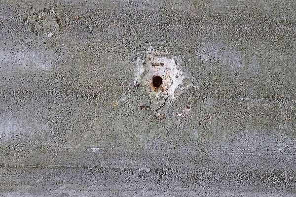 포토 JPG 해외이미지 나무 디자인 벽 백그라운드 패턴 건축양식 자연 유리 벽지 표면 사람없음 물 갈색 검은색 어둠 공백 회색 수확 거친 균열 닫기 떨어짐 묘사 질감 대리석 시멘트 그런지 석고 옛날 콘크리트 화강암 카피스페이스 해외202008 해외포토 자연요소 식물 건축 컬러 컨셉 무늬 농업 재료 모션 재질 암석 생태계 파일형식