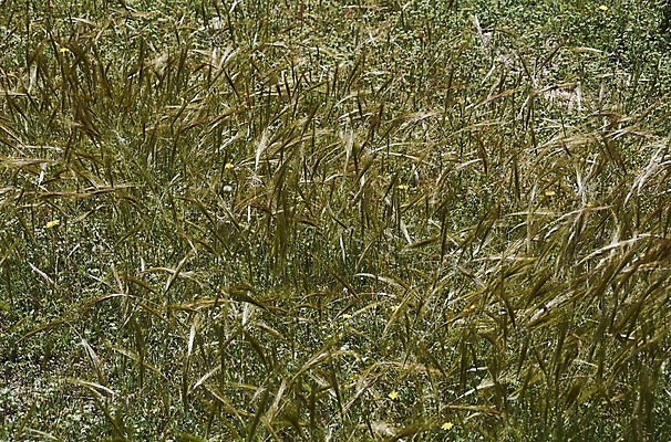 포토 JPG 해외이미지 아시아 사람없음 중국 해외202008 해외포토 나라 파일형식