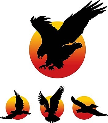 EPS 해외이미지 동물 실루엣 야생동물 날개 일러스트 자연 조류 추상 그래픽 태양 검은색 심볼 사인 윤곽 독수리 육식동물 고립 발톱 해외202008 해외일러스트 자연요소 컬러 무늬 발 촬영기법 생태계 파일형식 벡터