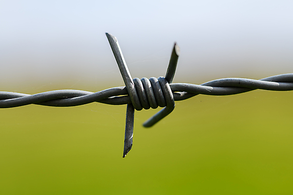 포토 JPG 해외이미지 농업 추상 잉글랜드 사람없음 야외 울타리 농장 금속 사진촬영 시골 보호 위험 철사 철조망 밭일 카피스페이스 국경 해외202008 해외포토 산업 컨셉 무늬 재질 영국 담장 촬영 공백 파일형식