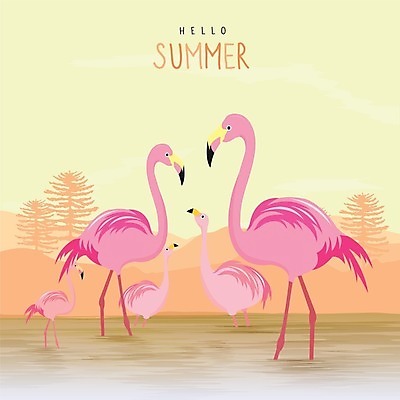 EPS 해외이미지 동물 캐릭터 야생동물 분홍색 섬 포즈 신체 날개 일러스트 아프리카 자연 조류 동물원 서기 풍경 야외 여름 플랫 군중 만화 날씬함 깃털 하와이 부리 목 내추럴 동물상 양발 이국적 파라다이스 해외202008 해외일러스트 일러캐릭터 계절 나라 컬러 모션 사람 신체부위 조형물 미국 몸매 생태계 파일형식 벡터