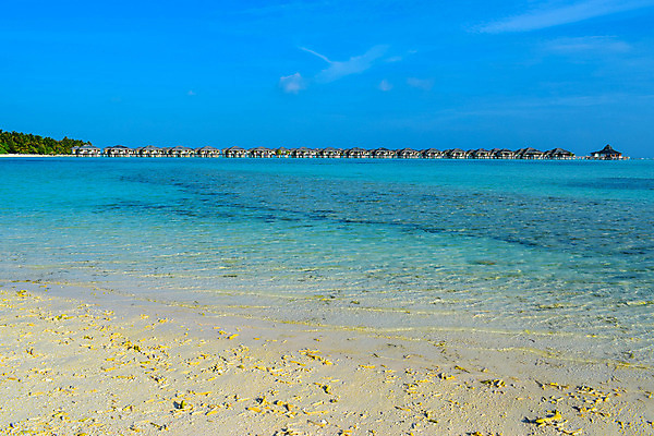 포토 JPG 해외이미지 나무 식물 모래 바다 섬 여행 백그라운드 자연 하늘 휴가 휴식 손바닥 그림자 풍경 사람없음 물 여름 파란색 햇빛 태양 맑음 침묵 시골 휴양지 코코넛 천국 석호 몰디브 이국적 터키석 파라다이스 해외202008 해외포토 자연요소 손 계절 아시아 컬러 컨셉 과일 날씨 소리 장소 보석 생태계 파일형식