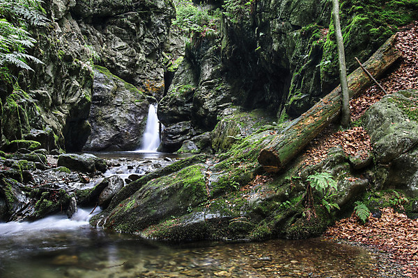 포토 JPG 해외이미지 공원 이동 모션 자연 풍경 사람없음 야외 물 강 폭포 하이킹 낭만 흐름 가을 개울 황무지 숲 장노출 암초 체코 예약 내추럴 삼림지대 해외202008 해외포토 자연요소 계절 공공시설 유럽 컨셉 레저 촬영기법 생태계 파일형식