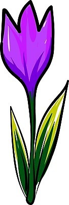 EPS 해외이미지 식물 꽃잎 꽃 백그라운드 잎 꽃무늬 일러스트 자연 수채화 유행 보라색 봄 벚꽃 흰색 신선 신용카드 개화 닫기 인도인 허브 제비꽃 향신료 매움 고립 사프란 해외202008 해외일러스트 외국인 계절 컬러 무늬 모션 동양인 금융 맛 생태계 향미료 파일형식 벡터