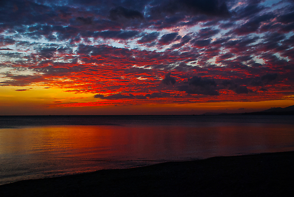 포토 JPG 해외이미지 나무 식물 구름 공원 아시아 섬 백그라운드 태국 자연 산 풍경 사람없음 물 파란색 태양 환경 다양 나뭇가지 습지 숲 열대우림 생태계 뿌리 상록수 말레이시아 내추럴 삼림지대 생태학 안다만 해일 해외202008 해외포토 자연요소 공공시설 교육 나라 바다 컬러 다수 자연재해 파일형식
