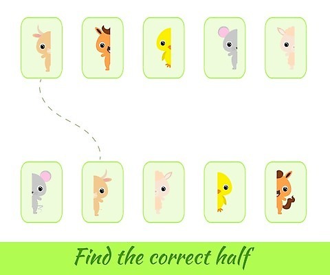 EPS 해외이미지 클립아트 동물 디자인 영어 교육 야생동물 어린이 일러스트 학교 놀이 동물원 그림자 경기 단어 컬러풀 치킨 유치원 도전 게임 퍼즐 퀴즈 플랫 쥐 만화 발견 고립 알파카 해외202008 해외일러스트 문자 스포츠 컬러 사람 설치류 닭고기요리 파일형식 벡터