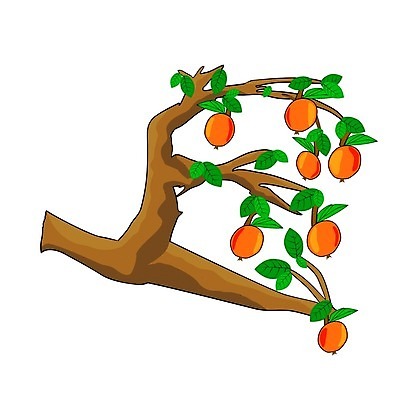 EPS 해외이미지 클립아트 나무 식물 디자인 계절 음식 과학 백그라운드 컨셉 잎 농업 오렌지 과일 일러스트 포장 자연 아이디어 매달리기 건강 사랑 풍경 그래픽 빨간색 초록색 여름 세일 정원 주스 가을 나뭇가지 플랫 선택 달콤 사과 농부 숲 과수원 만화 오브젝트 흰배경 토막 부족 고립 국경 해외202008 해외일러스트 직업 감정 산업 음료 컬러 모션 흰색 맛 생태계 파일형식 벡터