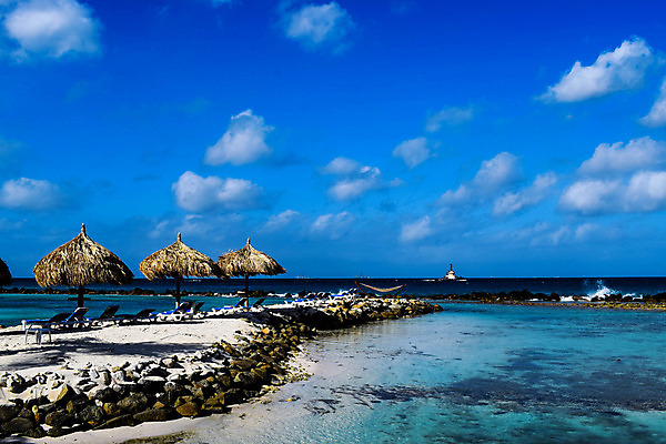 포토 JPG 해외이미지 나무 모래 바다 섬 여행 자연 하늘 휴가 손바닥 풍경 사람없음 야외 물 여름 파란색 야자수 맑음 흰색 휴양지 코코넛 카리브해 이국적 파라다이스 수평선 해외202008 해외포토 자연요소 식물 손 계절 컬러 과일 날씨 장소 생태계 파일형식