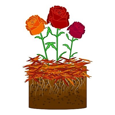 EPS 해외이미지 식물 디자인 배너 꽃 농업 일러스트 주택 간판 풍경 목재 빨간색 장미 라벨 세일 정원 흙 봄 신선 소나무 잡초 플랫 만화 청소 서비스 물주기 흰배경 유기농 원예 조경 뿌리 번짐 화단 유지 고립 돌봄 뒤뜰 무생채 삼나무 해외202008 해외일러스트 나무 웰빙 계절 산업 컬러 백그라운드 재료 모션 프레임 취미 건물 흰색 파일형식 벡터 효과