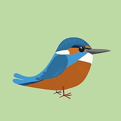 EPS 해외이미지 동물 야생동물 날개 오렌지 일러스트 조류 어류 어업 초록색 파란색 깃털 부리 코믹 계산서 동물상 특별함 해외202008 해외일러스트 산업 컬러 컨셉 과일 조형물 수중동물 파일형식 벡터