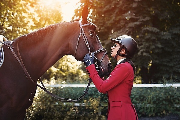 포토 JPG 해외이미지 동물 모자 여자 행복 감정 포유류 자연 키스 대화 사랑 한명 사람 취미 야외 10대 가로 반려동물 농장 갈색 점프 경쟁 목장 우정 시골 승마 승차 헬멧 소통 돌봄 라이더 진짜 총구 유대감 해외202008 해외포토 1 잡화 스포츠 컬러 컨셉 농업 모션 청소년 말하기 친구 보호장비 애정표현 생태계 파일형식