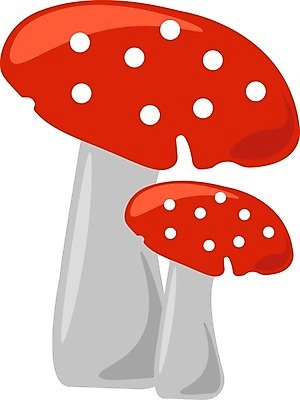 EPS 해외이미지 식물 음식 백그라운드 일러스트 자연 그래픽 장식 빨간색 컬러풀 갈색 식사 버섯 가을 흰색 낙서 인쇄 만화 스케치 천 그림 유기농 날것 내추럴 고립 곰팡이 그물버섯 독버섯 해외202008 해외일러스트 웰빙 계절 컬러 미술 직물 생태계 파일형식 벡터 문화예술