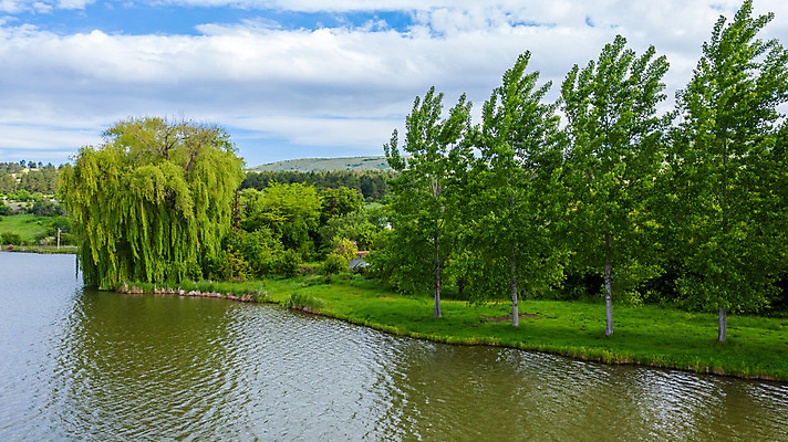 포토 JPG 해외이미지 나무 계절 공원 꽃 호수 파도 여행 백그라운드 밭 자연 하늘 산 풍경 사람없음 야외 초록색 물 파란색 봄 추위 벚꽃 흰색 시골 체리 숲 가득함 장면 아몬드 후지산 눈내림 해외202008 해외포토 자연요소 식물 공공시설 바다 컬러 농업 과일 눈_날씨 일본 견과류 세계문화유산 생태계 파일형식