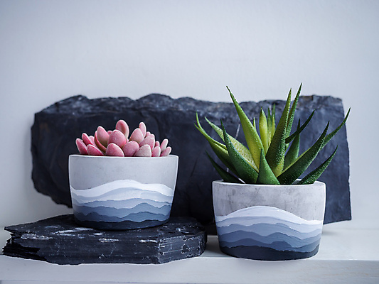 포토 JPG 해외이미지 식물 라이프스타일 디자인 꽃 물결 분홍색 컨셉 2 패턴 선반 선인장 미술 사람없음 내부 목재 장식 초록색 컬러풀 우주 흰색 신선 그리기 냄비 작음 오브젝트 그림 시멘트 기하학 리빙 DIY 내추럴 고립 심기 콘크리트 특별함 파스텔톤 핸드메이드 스타일 미니멀 해외202008 해외포토 나무 컬러 가구 무늬 재료 모션 문화예술 취미 생활 솥 크기 파일형식