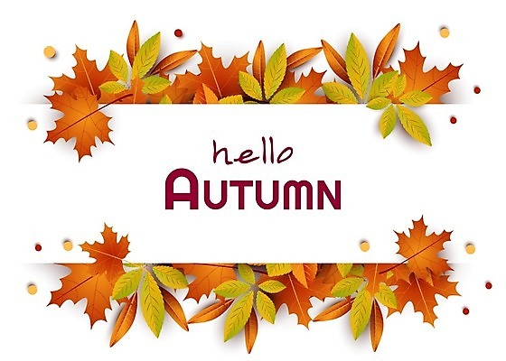 EPS 해외이미지 식물 템플릿 디자인 배너 계절 포스터 백그라운드 컨셉 단풍 잎 오렌지 일러스트 모션 자연 벽지 휴가 프레임 선물 미술 장식 빨간색 단어 컬러풀 노란색 유행 가을 신용카드 정상 9월 사인 질감 레이아웃 주말 활기 애니메이션 추수감사절 동영상 구성 해외202008 해외일러스트 문자 기독교 컬러 과일 문화예술 금융 날짜 생태계 파일형식 벡터