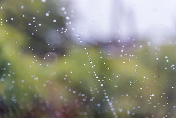 포토 JPG 해외이미지 응시 여행 창문 교통시설 자동차 자연 유리 표면 날씨 추상 안전 사람없음 초록색 물 빛 햇빛 반사 우주 환경 젖음 흐름 안개 물방울 신선 투명 거친 액체 떨어짐 매끈함 소프트포커스 수증기 묘사 질감 내추럴 자동 해외202008 해외포토 자연요소 시선 육상교통 컬러 교통 컨셉 무늬 재질 촬영기법 태양 감각 시설 생태계 파일형식