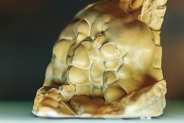 포토 JPG 해외이미지 분홍색 과학 하늘색 자연 멕시코 사람없음 파란색 컬러풀 보라색 검은색 바위 흰색 원형 거친 크리스탈 광석 보석 발굴 제비꽃 박물관 보물 내추럴 습관 고립 여의주 지질학 채석 아연 해외202008 해외포토 도형 교육 꽃 컬러 북아메리카 돌_바위 생태계 영양소 파일형식