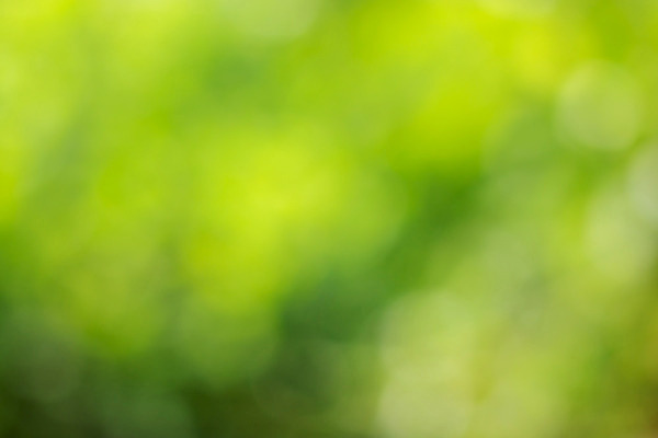 포토 JPG 해외이미지 식물 외관 공원 백그라운드 잎 꽃무늬 밭 자연 추상 사람없음 야외 초록색 컬러풀 햇빛 태양 노란색 맑음 일몰 소프트포커스 숲 보케 자연백그라운드 내추럴 동물상 밭일 해외202008 해외포토 자연요소 공공시설 꽃 컬러 무늬 농업 날씨 촬영기법 조형물 노을 생태계 파일형식