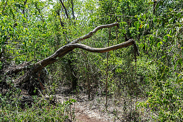 포토 JPG 해외이미지 나무 모래 바다 여행 휴가 휴식 열대 손바닥 앉기 풍경 사람없음 맑음 침묵 견과류 휴양지 고립 이국적 파라다이스 해외202008 해외포토 식물 손 컨셉 모션 날씨 소리 장소 파일형식