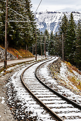 포토 JPG 해외이미지 나무 유럽 도로 길 선 여행 교통시설 자연 산 거리 경사 사람없음 야외 목재 기차 시골 소나무 가장자리 숲 연결 방향 스위스 방법 선로 해외202008 해외포토 식물 나라 육상교통 교통 재료 대중교통 둘레 시설 생태계 파일형식
