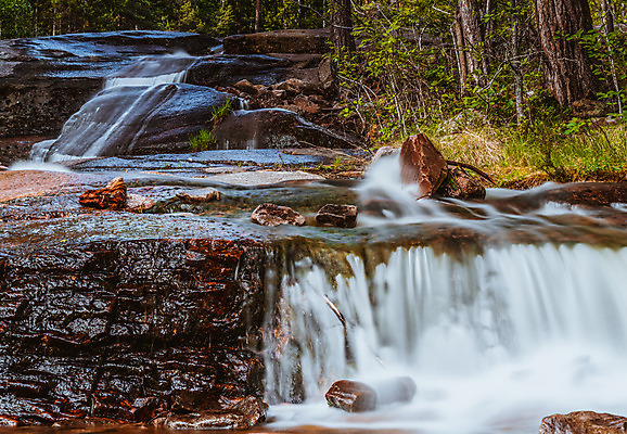 포토 JPG 해외이미지 나무 여행 모션 자연 새로움 풍경 사람없음 야외 물 여름 강 환경 골짜기 계곡 폭포 흐름 바위 신선 액체 개울 황무지 속도 장면 내추럴 생태학 인기 전국 그리너리 해외202008 해외포토 자연요소 식물 계절 교육 컨셉 돌_바위 생태계 파일형식 트랜드컬러