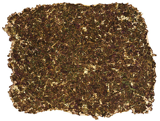 포토 JPG 해외이미지 식물 디자인 꽃 아시아 종이 백그라운드 잎 패턴 태국 벽지 표면 아이디어 건조 미술 사람없음 장식 초록색 갈색 우주 일본 중국 공백 재활용 흰색 나뭇가지 신용카드 거친 묘사 유기농 질감 만들기 페이지 결 섬유 시트 내추럴 고립 핸드메이드 해외202008 해외포토 나무 웰빙 나라 컬러 컨셉 무늬 모션 문화예술 금융 직물 친환경 파일형식