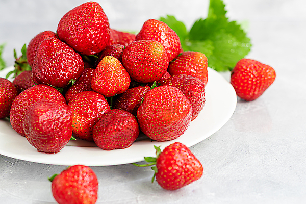 포토 JPG 해외이미지 접시 잎 회색배경 딸기 사람없음 담기 해외202008 해외포토 식물 식기 백그라운드 과일 모션 회색 파일형식