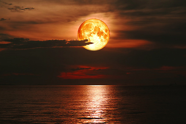 포토 JPG 해외이미지 나무 구름 꽃 실루엣 바다 분홍색 과학 자연 하늘 딸기 옥수수 사람없음 빨간색 빛 강 장미 반사 우주 달러 정원 어둠 침묵 황혼 새벽 우유 달 시골 혈액 야간 저녁 숲 가득함 현상 해외202008 해외포토 자연요소 식물 컬러 돈 과일 유제품 곡류 촬영기법 소리 일몰 생태계 파일형식