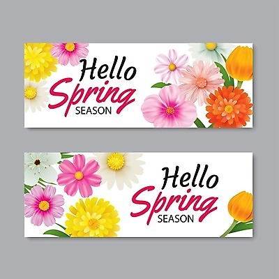 EPS 해외이미지 계절 꽃 백그라운드 꽃무늬 일러스트 사람없음 세일 봄 해외202008 해외일러스트 식물 무늬 파일형식 벡터