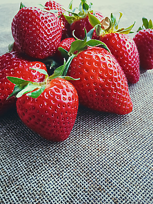 포토 JPG 해외이미지 회색배경 딸기 근접촬영 사람없음 해외202008 해외포토 뷰포인트 백그라운드 과일 회색 파일형식